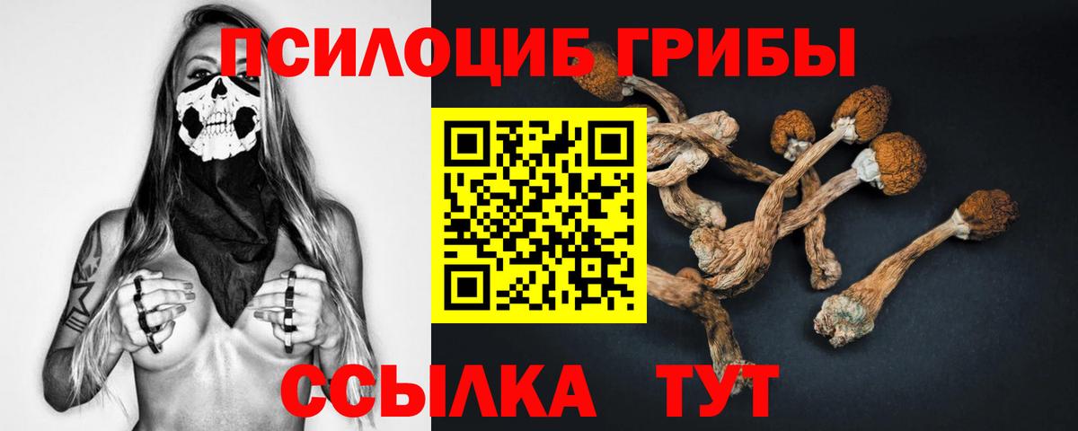 Орёл  Галлюциногенные грибы мухоморы  Вход с VPN 